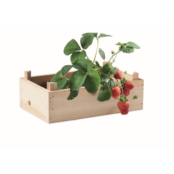 STRAWBERRY