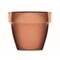 Terrakotta-Topf Kresse