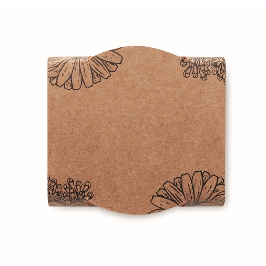 Terracotta-Topf Vergissmeinnich