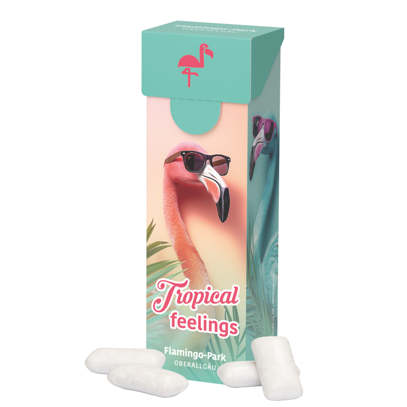 Slim Box; KoRo zuckerfreie Menthol Kaugummis