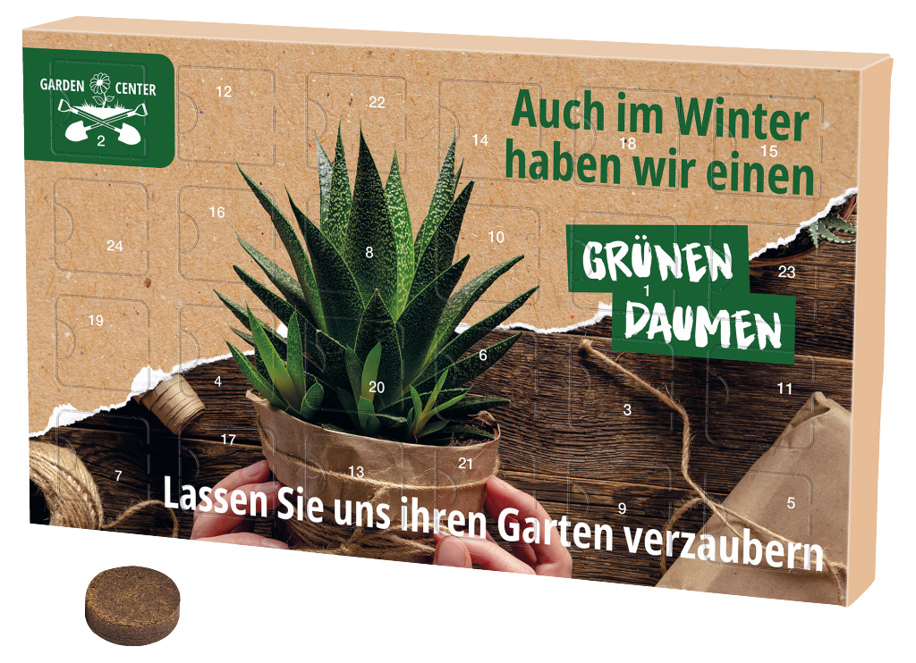 Wachsender Adventskalender Eco L