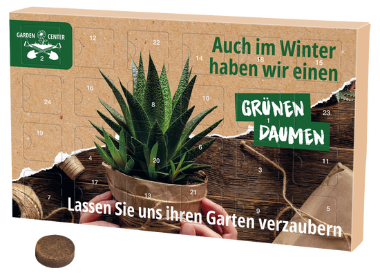 Wachsender Adventskalender Eco L