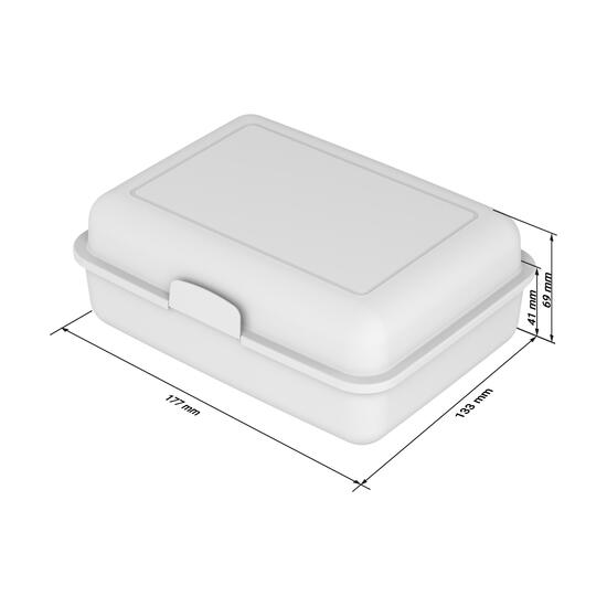 Vorratsdose "School-Box" groß, mit Trennschale