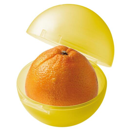 Vorratsdose "Orangen-Box"