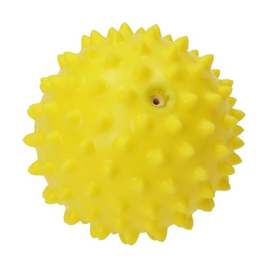 Wellness-Ball "Igel"