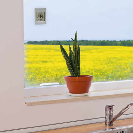 WINDOO digitales Fensterthermometer