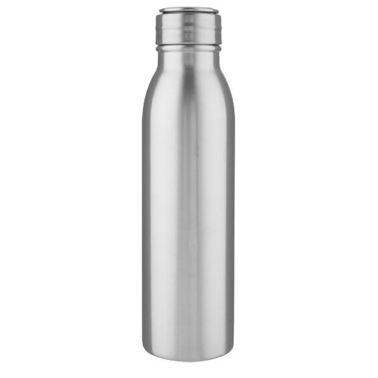 Harper 700 ml Sportflasche aus Edelstahl mit Metallschlaufe