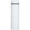 Taylor 450 ml Doppelwand Isolierflasche aus Edelstahl mit Teesieb