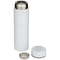 Taylor 450 ml Doppelwand Isolierflasche aus Edelstahl mit Teesieb