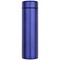 Taylor 450 ml Doppelwand Isolierflasche aus Edelstahl mit Teesieb