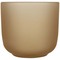 Male Set aus Holztablett und Glastassen
