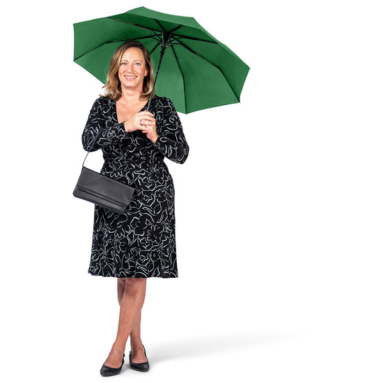 AC-Mini-Taschenschirm