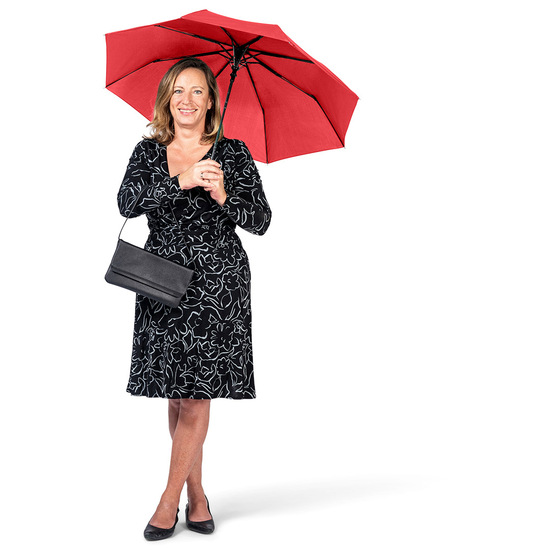 AC-Mini-Taschenschirm