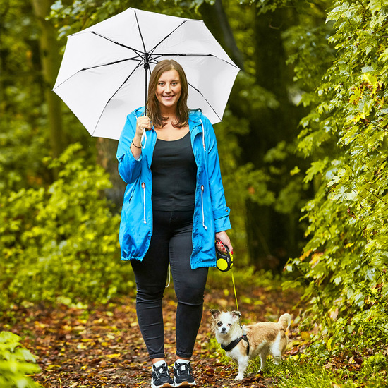 Taschenschirm FARE® AC Plus