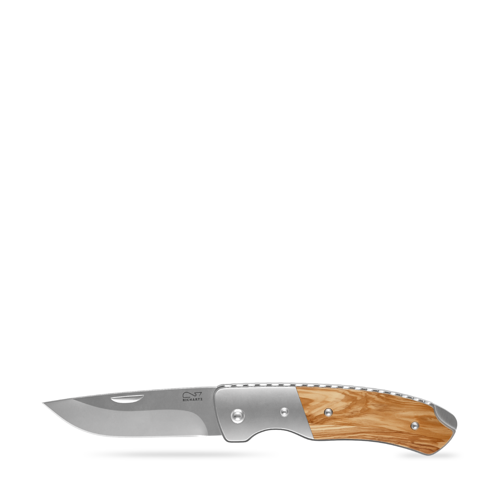 RICHARTZ® LEO 200 olive