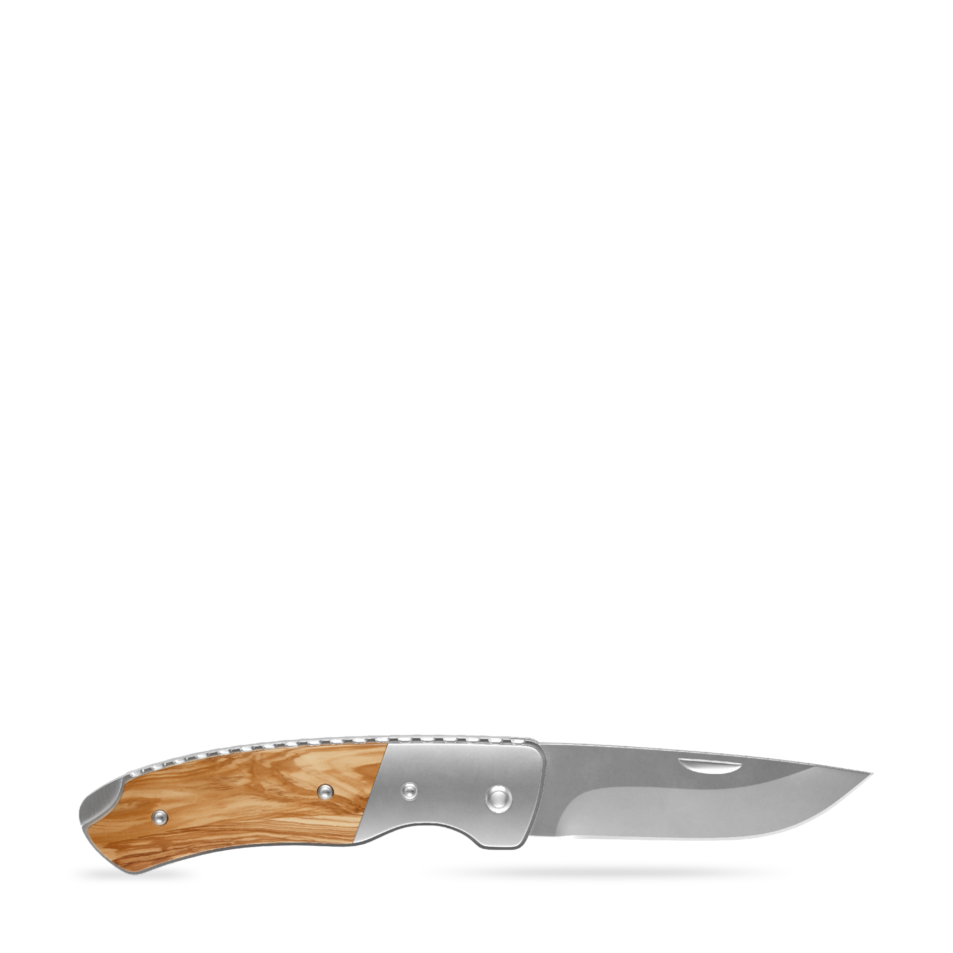 RICHARTZ® LEO 200 olive