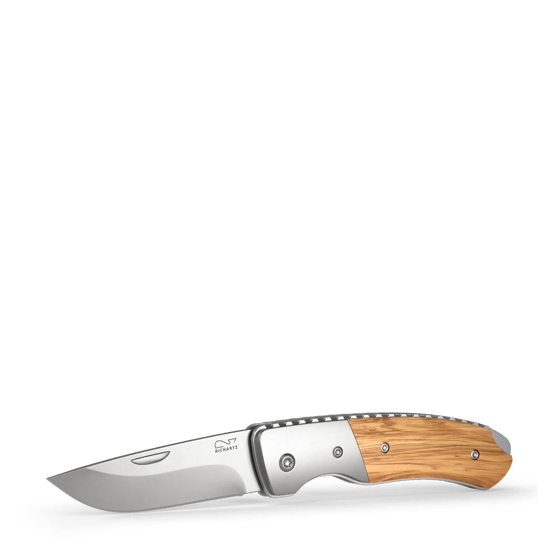 RICHARTZ® LEO 200 olive