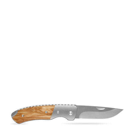 RICHARTZ® LEO 200 olive