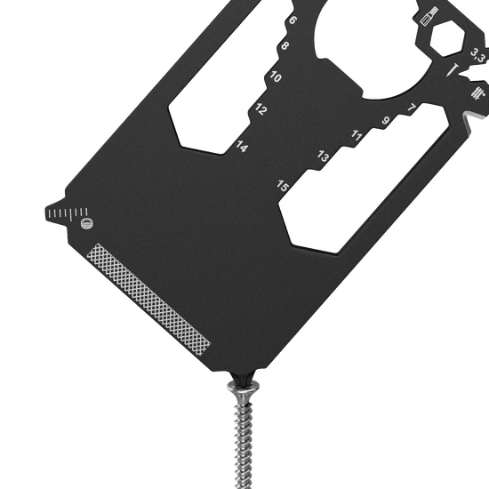 RICHARTZ® POCKET CARD black 28+