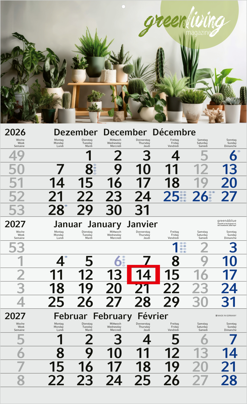 3-Monatskalender Einblatt Budget 3 RECYCLING Schrift modern