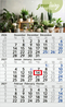 3-Monatskalender Einblatt Budget 3 RECYCLING Schrift modern