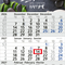 3-Monatskalender Einblatt Budget 3 Schrift modern