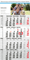 4-Monatskalender Mega 4 Post Bestseller (Einblatt)