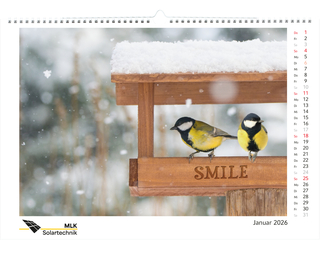 Bildkalender MagicPix Panorama A3 Bestseller (personalisiert)