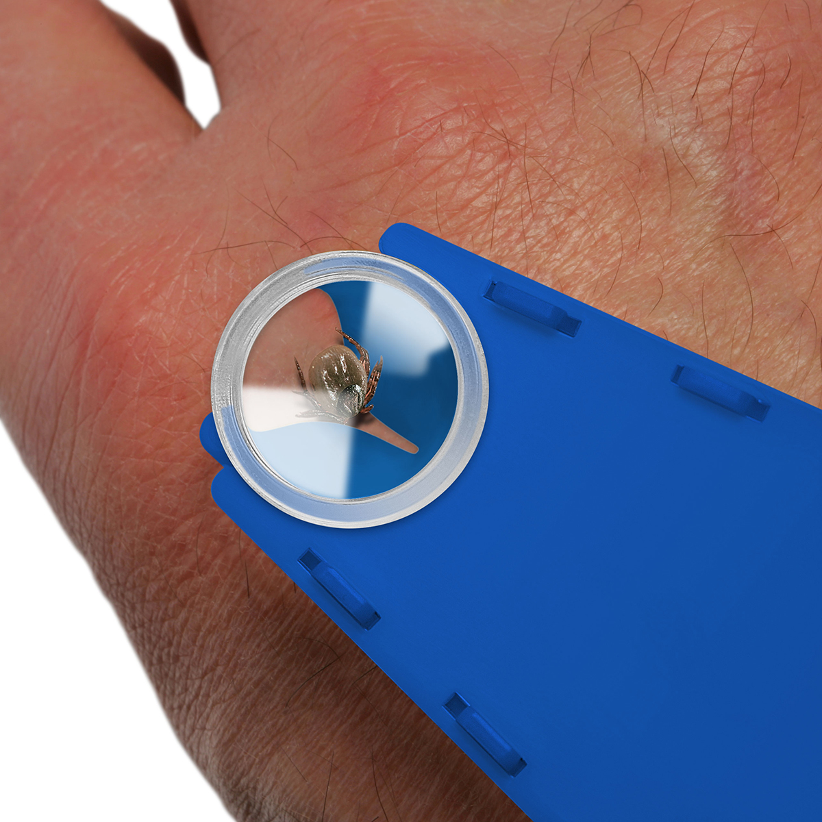 Zeckenentferner mit Lupe