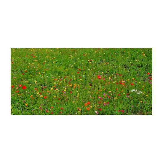 6 farbigen Samenbomben für eine bunte Bienenwiese in einer Mini-Eierschachtel mit Banderole: „Auf eine blühende Zusammenarbeit”