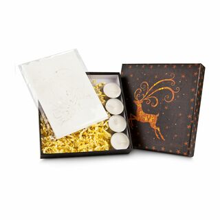 Traumhafte Winter-Deko: 4 Papier-Laternen mit verschiedenen Wintermotiven und 4 Teelichtern im dekorativen Geschenkkarton mit Rentiermotiv.