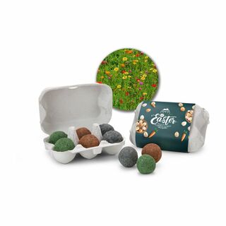 Geschenkartikel: Bienenweide im Oster-Eierkarton, 6 Samenbomen 2K1660a