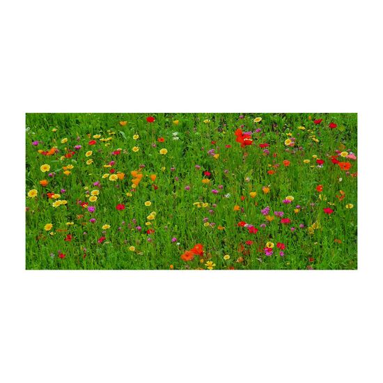 Geschenkartikel: Bienenweide im Oster-Eierkarton Blumen 2K1660b