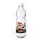 500 ml PromoWater - Mineralwasser, still - Folien-Etikett 2P003C