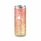Iso Sport Drink light, 250 ml - Kleinmengen ab 24 Dosen 2P010S