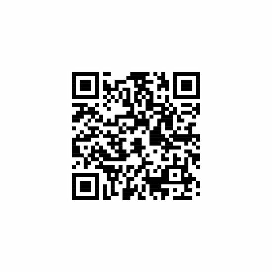 Helles Bier - feinherb und leicht malzig - Papier-Etikett, 250 ml 2P025P