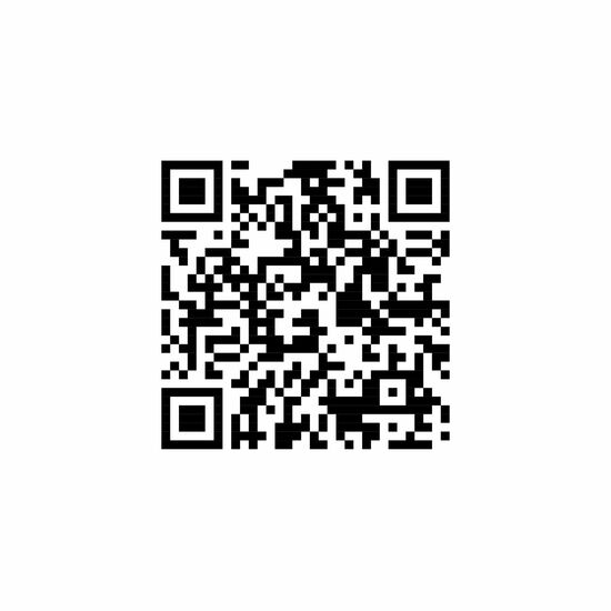 Promo Fresh - Apfelschorle - Papier-Etikett, 250 ml 2P028P