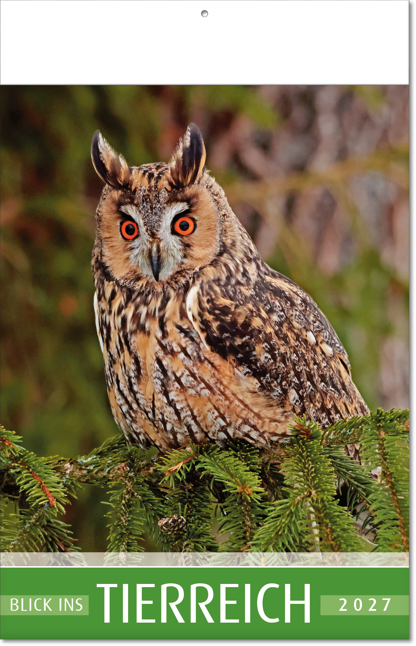 Bildkalender Blick ins Tierreich, Fälzel