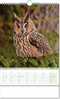 Bildkalender Blick ins Tierreich, Wire