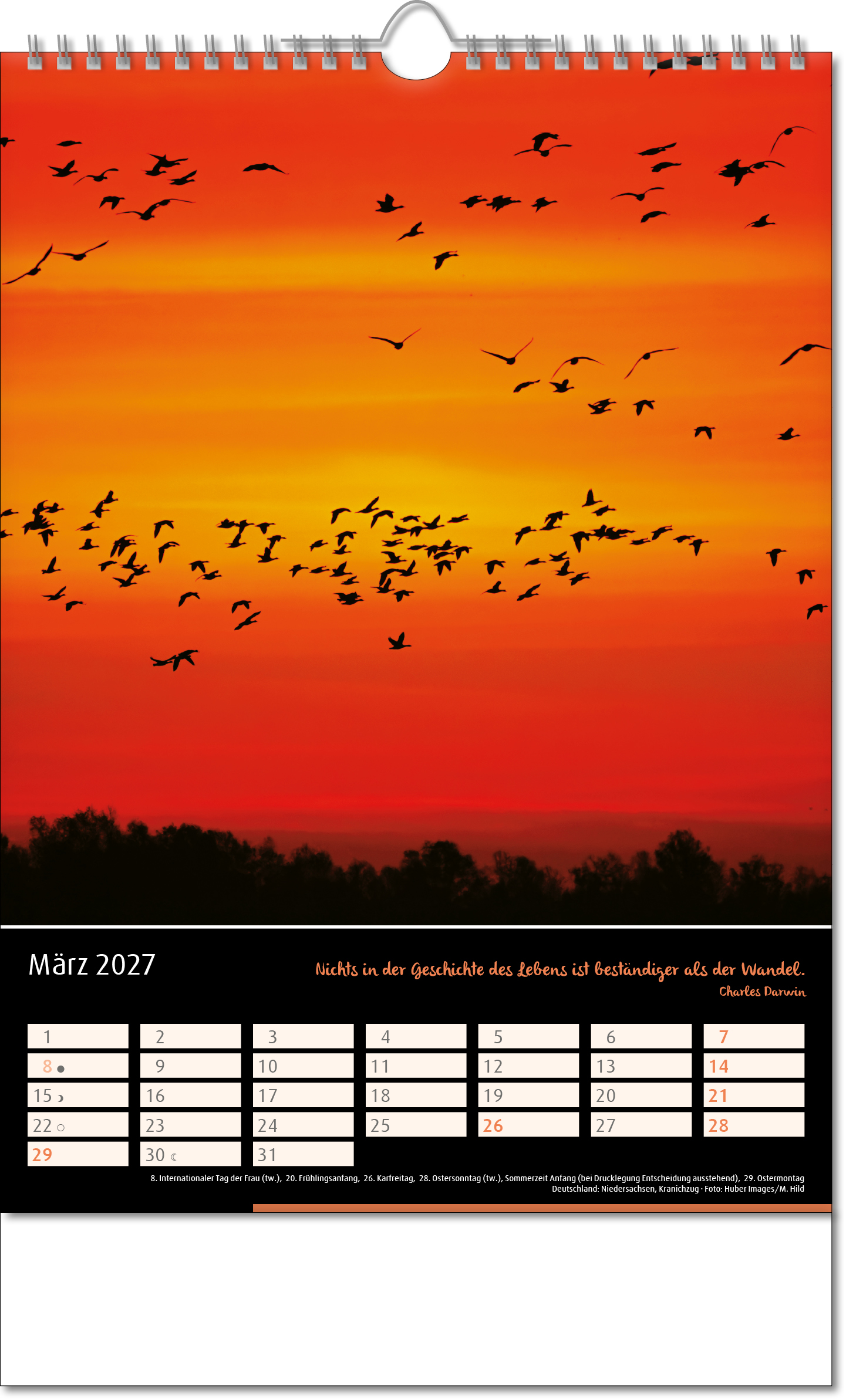 Bildkalender Emotion, Wire