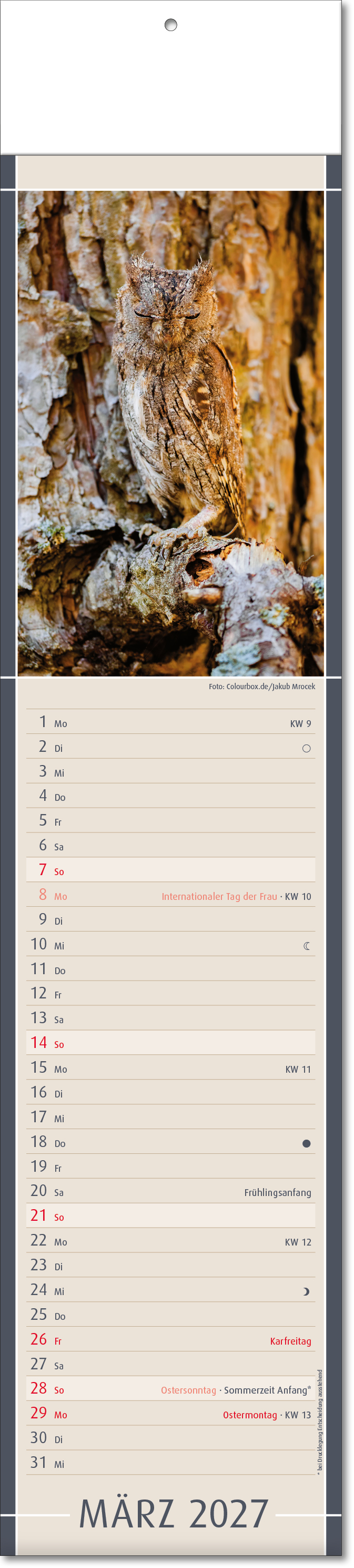 Bildstreifenkalender Fundstücke der Natur, Fälzel