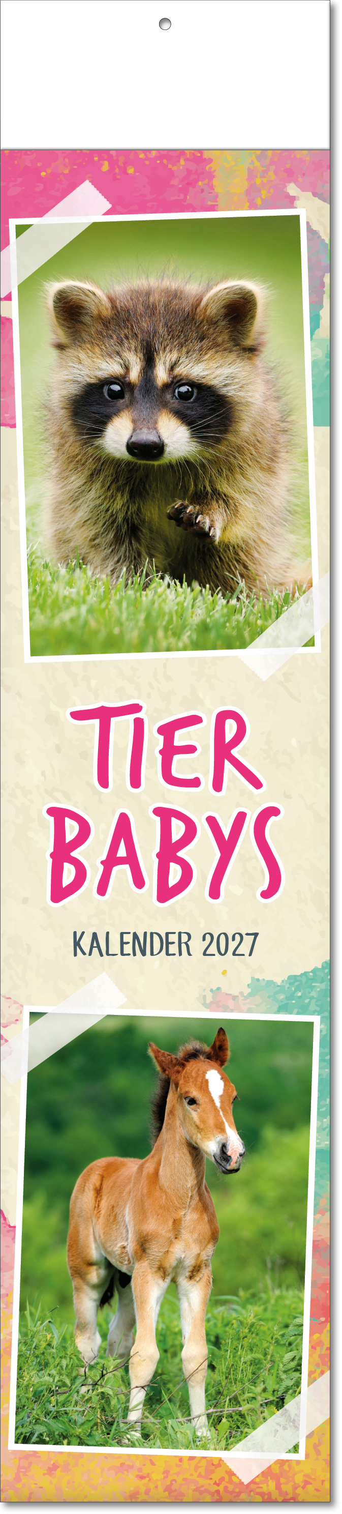 Bildstreifenkalender Tierbabys, Fälzel