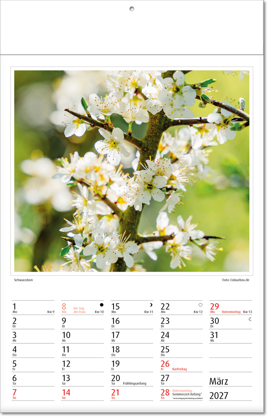 Bildkalender Botanica, Fälzel