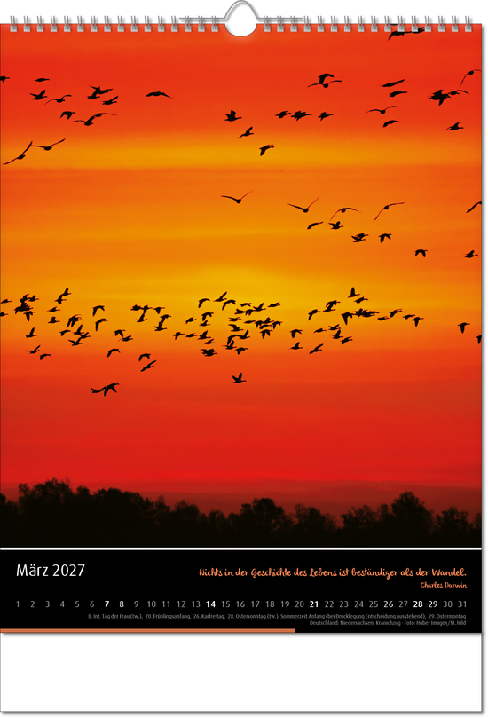 Kalender Emotion, Wire