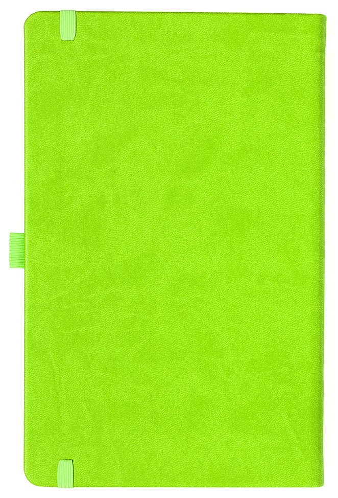 Notizbuch Style Medium im Format 13x21cm, Inhalt kariert, Einband Slinky in der Farbe Lime