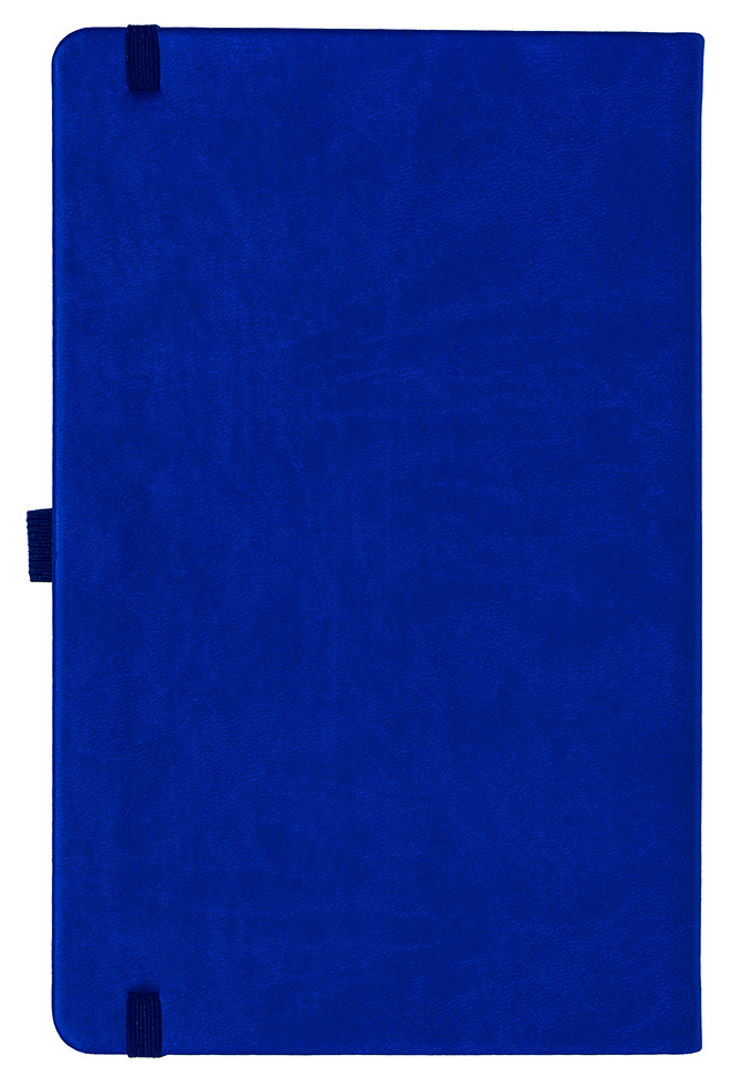 Notizbuch Style Medium im Format 13x21cm, Inhalt kariert, Einband Slinky in der Farbe Ultramarine
