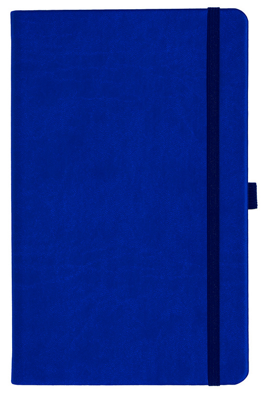 Notizbuch Style Medium im Format 13x21cm, Inhalt kariert, Einband Slinky in der Farbe Ultramarine