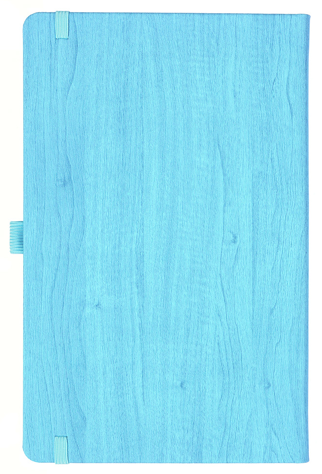 Notizbuch Style Medium im Format 13x21cm, Inhalt kariert, Einband Woody in der Farbe Sky