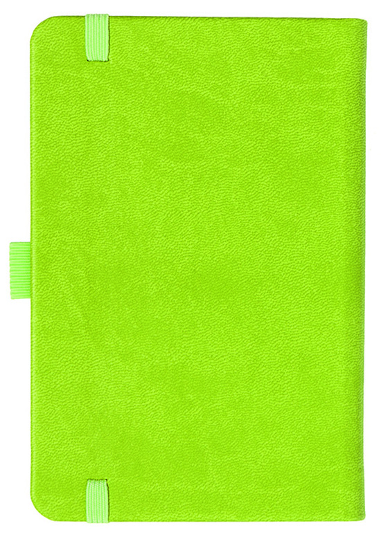 Notizbuch Style Small im Format 9x14cm, Inhalt kariert, Einband Slinky in der Farbe Lime