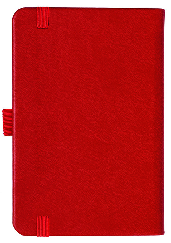 Notizbuch Style Small im Format 9x14cm, Inhalt kariert, Einband Slinky in der Farbe Scarlet